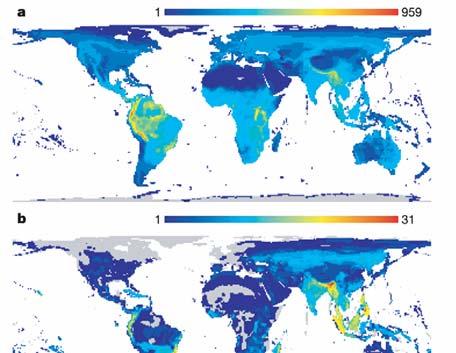 (2005) Endemizmusok/általános mintázat 52 biogeográfiai régióban a növ.faj és endemikus növ.