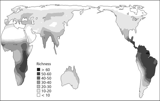 Biodiverzitás horizontális mintázata/madarak Falconiformes