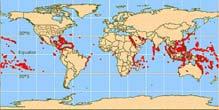 Biodiverzitás horizontális mintázata/kivételek SZÁRAZFÖLD Fordított mintázat ritka Pl: levéldarazsak, levéltetvek, gombák, fürkészek, gyilkosfürkészek (Braconidae), ill.