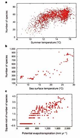 A biodiverzitás térbeli mintázata Mechanizmusok Átlagos nyári ºC és a költő madarak száma (Nagy-Britannia) Korrelációk környezeti változókkal Tenger felszín átlagos nyári ºC és a tengeri csigafajok