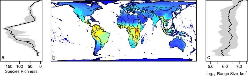 Humboldt et Bonpland (1807), Wallace (1853), Bates (1862) EMLŐSFAJOK ELOSZLÁSA A FÖLDÖN (Davies T J et al.