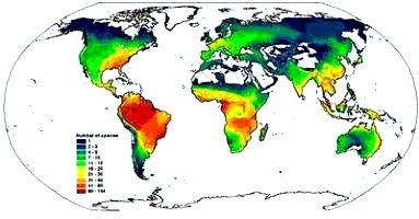 Biodiverzitás horizontális mintázata/madarak É-Am-ban Biodiverzitás