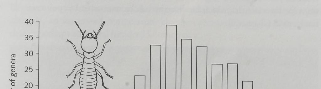 Biodiverzitás horizontális mintázata/aszimmetria Termesz genusok a földrajzi övekben 611 000 km 2 kvadrátokban becsült értékek