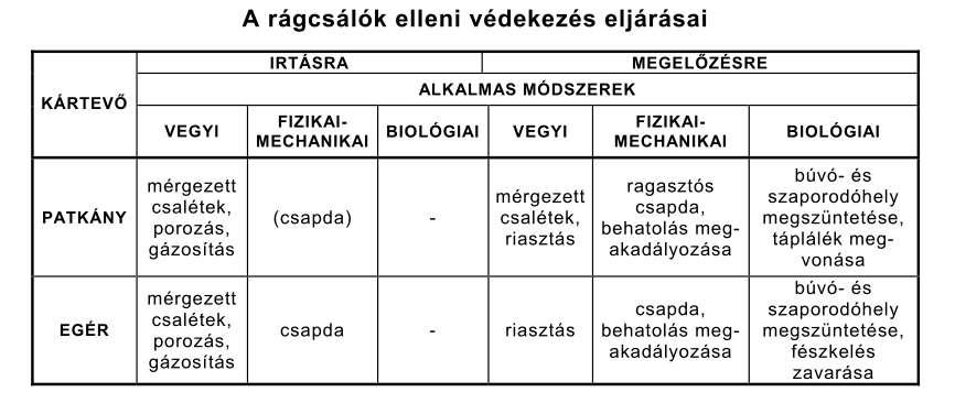 A RÁGCSÁLÓK FELDERÍTÉSE Próbabefogás Rágásnyom (kártétel) megfigyelése Ürülék