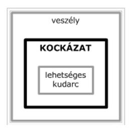 A kockázat valamely cselekvéssel járó veszély, veszteség lehetősége. A kockázatot elhatárolhatjuk a veszélytől és a kudarctól.