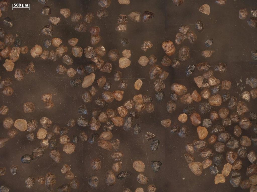 44.ábra 315-500 µm-es regenerált homok mikroszkópiai képe A legjobb mérés (golyótöltési fok 40%, fordulatszámviszony 40%, 20 perc őrlési idő, 8 mm-es őrlőtestek) képén jól látható a koptatás