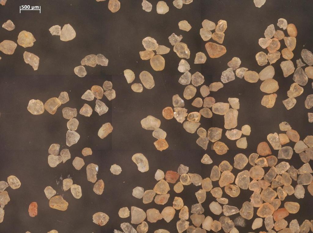 49.ábra 200-315 µm-es regenerált és izzított homok mikroszkópiai képe A 315 mikron alatti részben könnyebben illant el a gyanta, így ott nem is találtam szennyezett maradt szemcsét.