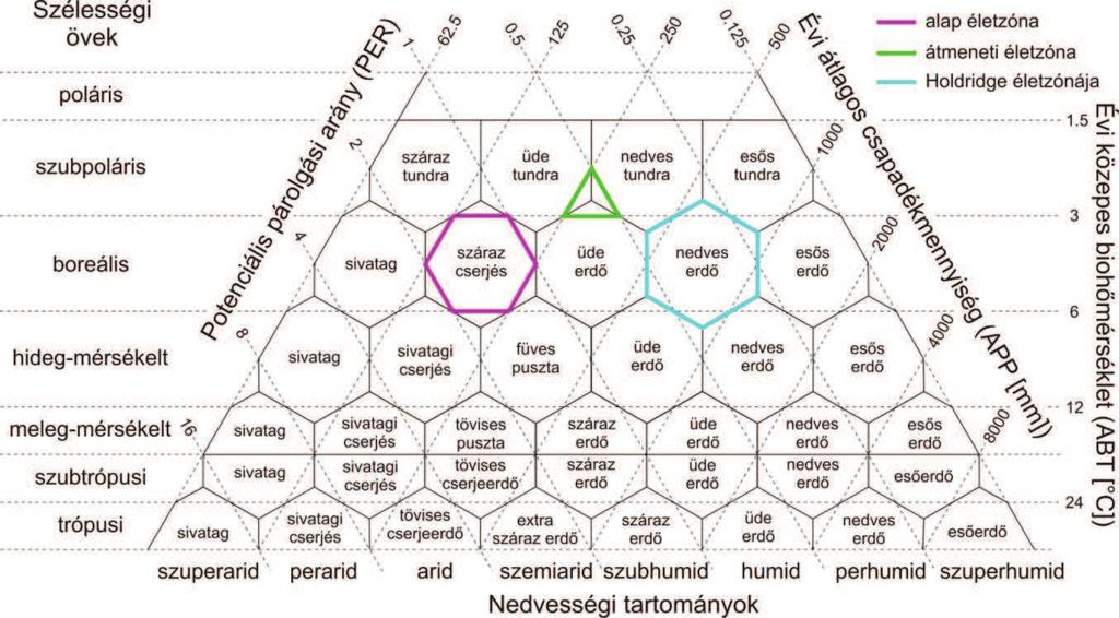 umokkal definiálható. A definiált életzónák viszonyrendszere pedig egy háromszögdiagramban könnyen szemléltethető. Ez az úgynevezett Holdridge-féle háromszögdiagram (1. ábra). 1.
