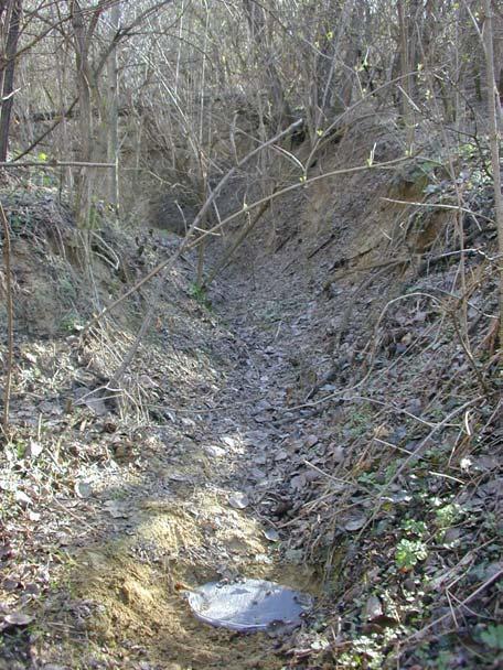 4.3.2. A felszíni lefolyás oldott anyag tartalmának vizsgálata A felszíni lefolyás vizsgálatára 2001 februárjában 5 mintavételi helyet létesítettünk ( V jelű pontok) (TÓTH et al. 2001; JAKAB et al.