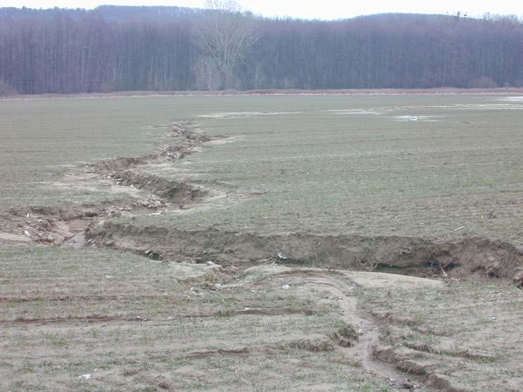 ábra) elmondható, hogy a vízmosások zöme barna erdőtalajon * alakult ki.