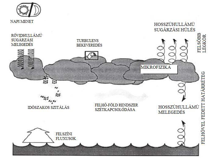 1. A stratocumulus felhők és a sugárzás kölcsönhatása Stratocumulus felhők: nagy területeken, hosszú élettartamúak. => hosszúhullámú felhőtető hűlés: szárazabb troposzféra miatt; 20 50 m-es rétegben.