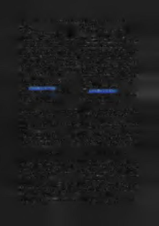 V.2. Subscriber s main contact person is as follows: Katalin Urban tel. +36