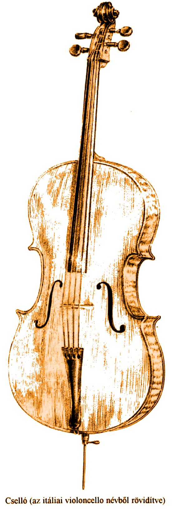255