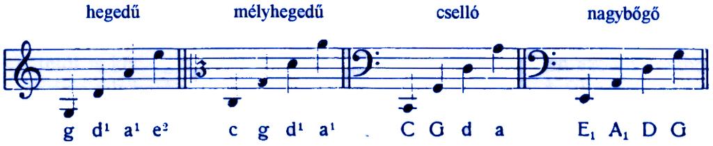 Mindenek előtt a különböző hegedűfajták, mint a hegedű, mélyhegedű, gordonka és a nagybőgő elrendezésével kell közelebbről megismerkednünk.