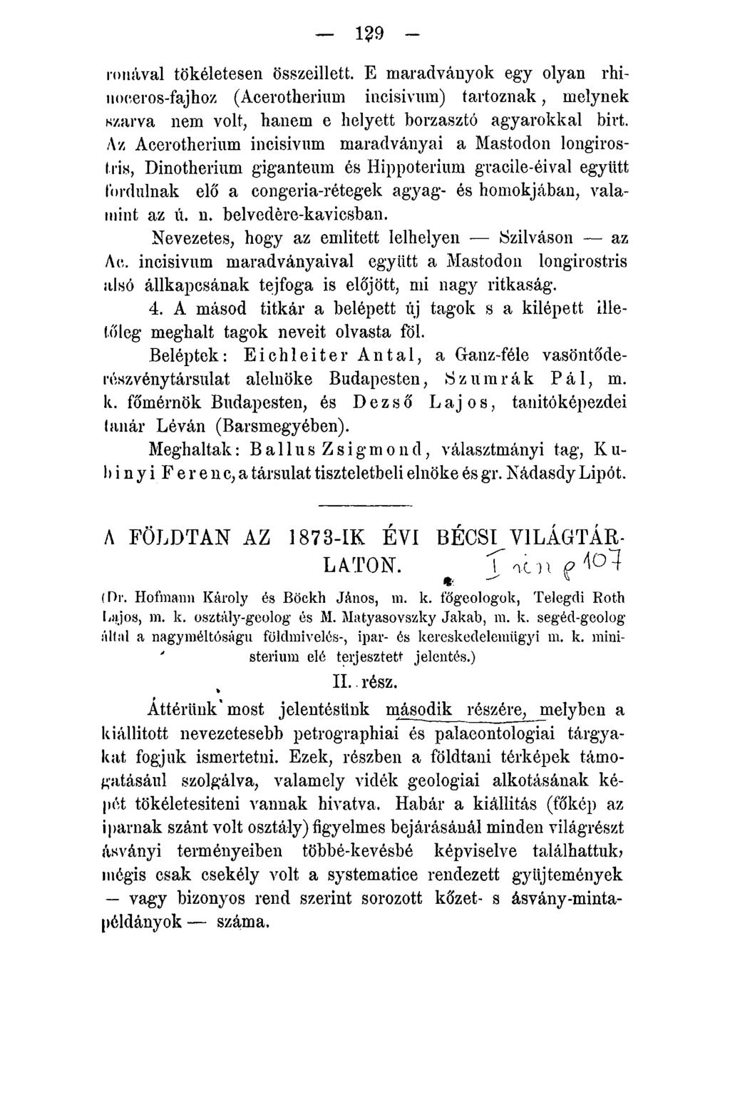 1?9 - rónával tökéletesen összeillett. E maradványok egy olyan rhinoeeros-fajhoz (Acerotherium incisiviun) tartoznak, melynek szarva nem volt, hanem e helyett borzasztó agyarokkal bírt.