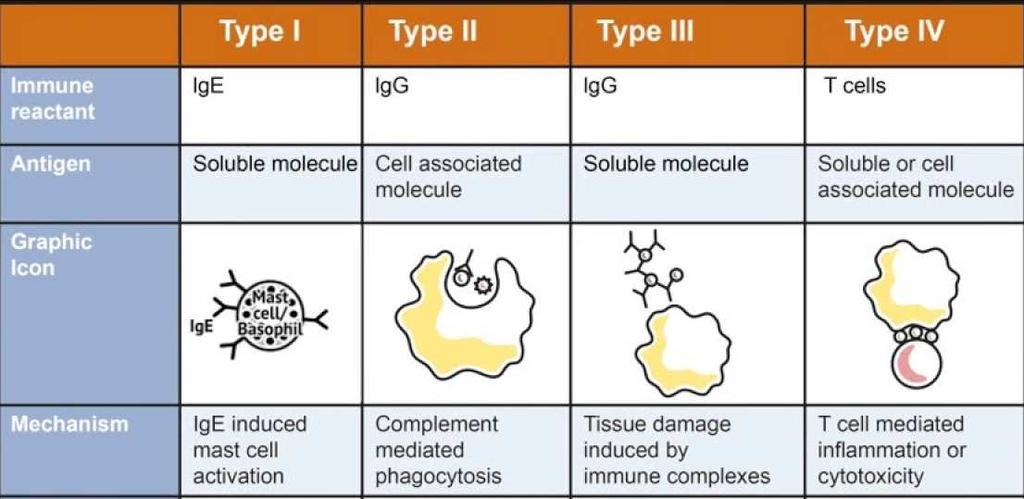 III. TÍPUS Antigén-antitest komplexek ( immunkomplexek") melyek lerakódnak