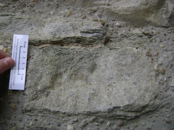 1. Tatai mészkő 1.