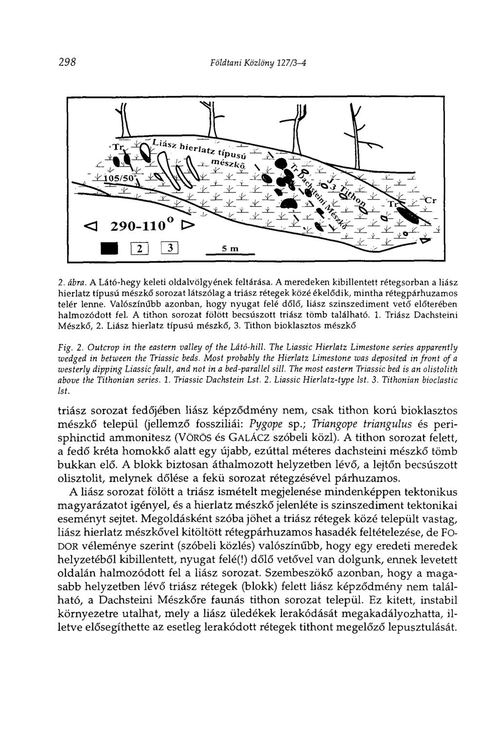 298 Földtani Közlöny 127/3-4 2. ábra. A Látó-hegy keleti oldalvölgyének feltárása.