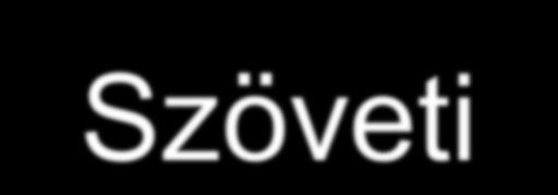 Szöveti-szerkezeti