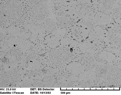 Dendrites