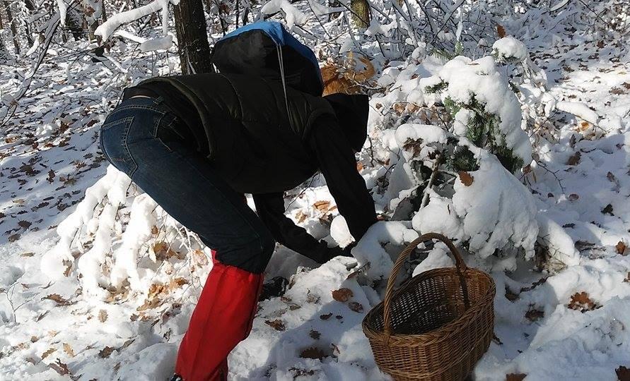 Sajnos november második hétvégéjére hó esett