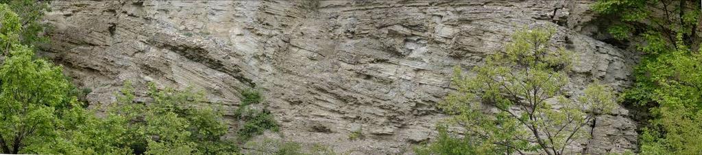 Szintén kompresszió jelenlétét erősítheti meg a feltárt középső késői-jura radiolarit redőzöttsége és az átlagoshoz képest vett jelentős kivastagodása is (CSÁSZÁR et al. 1998). 6.