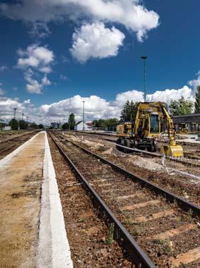 Etológusaink a legjobbak között A jövő városaiban jobban fogunk élni Projektjei