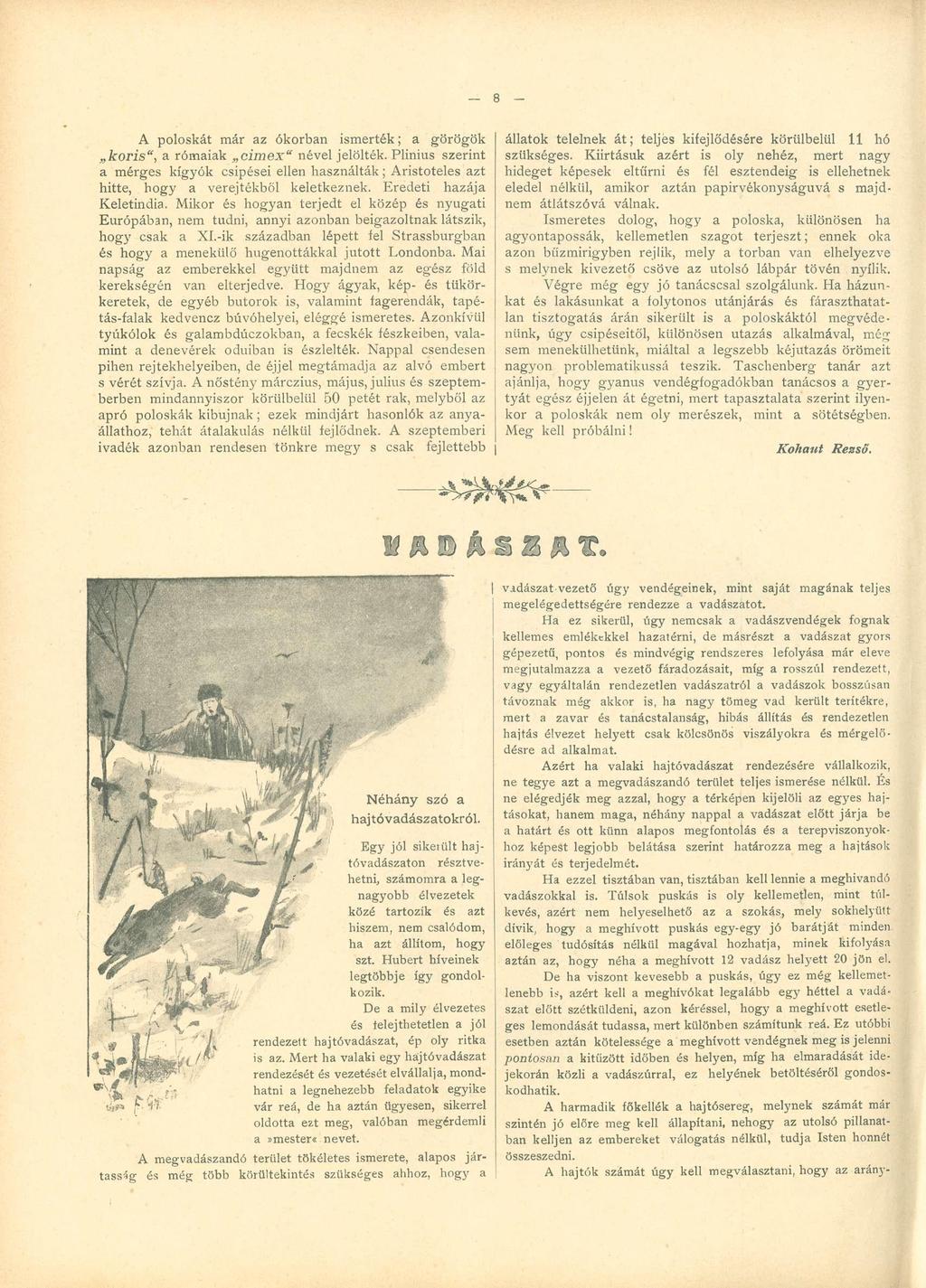 A poloskát már az ókorban ismerték; a görögök kőris", a rómaiak cimex" nevel jelölték. Plinius szerint a mérges kígyók csípései ellen használták; Aristoteles azt hitte, hogy a verejtékből keletkeznek.