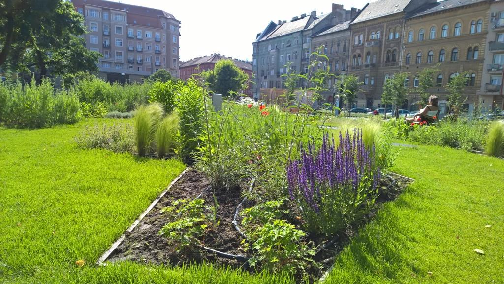 Fővárosi támogatással megújult a II. János Pál pápa tér, a Rákóczi tér és a Kiscsibész tér a József körút mentén.