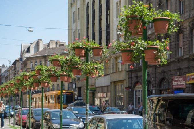 - A közkertek és közterek növényzetének és állagának védelmére létesítendő parkrácsok és kerítések színe és formavilága összhangban kell legyen a tér jellegével, utcabútoraival és köztárgyaival.