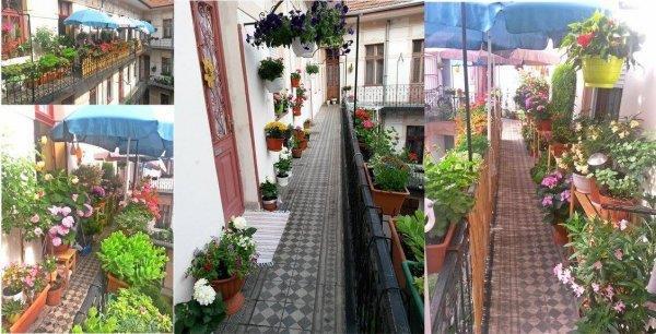 hu Balkon Aranya pályázat