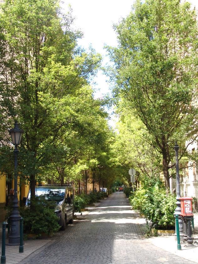 Üllői út A Kálvin tértől a főváros határáig húzódó sugárút, Budapest leghosszabb főútvonala. Az útvonalon húzódik a kerület déli határának egésze, a Kálvin tértől a Könyves Kálmán körútig.