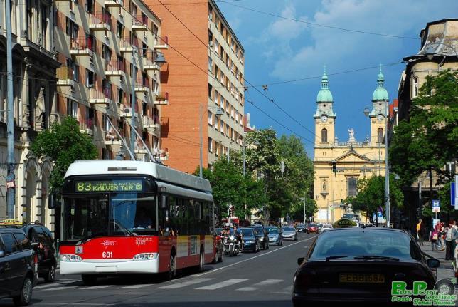 Józsefváros 2130 épületéből mindössze csak 347 maradt épségben; 1294 ház megsérült, 450 súlyosan sérült, 39 pedig elpusztult. A megsemmisült lakások száma 983 volt.