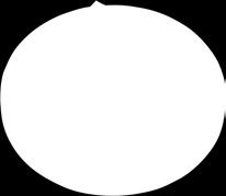 ohonodba zz elekromos kiviel zz méree: 15cm