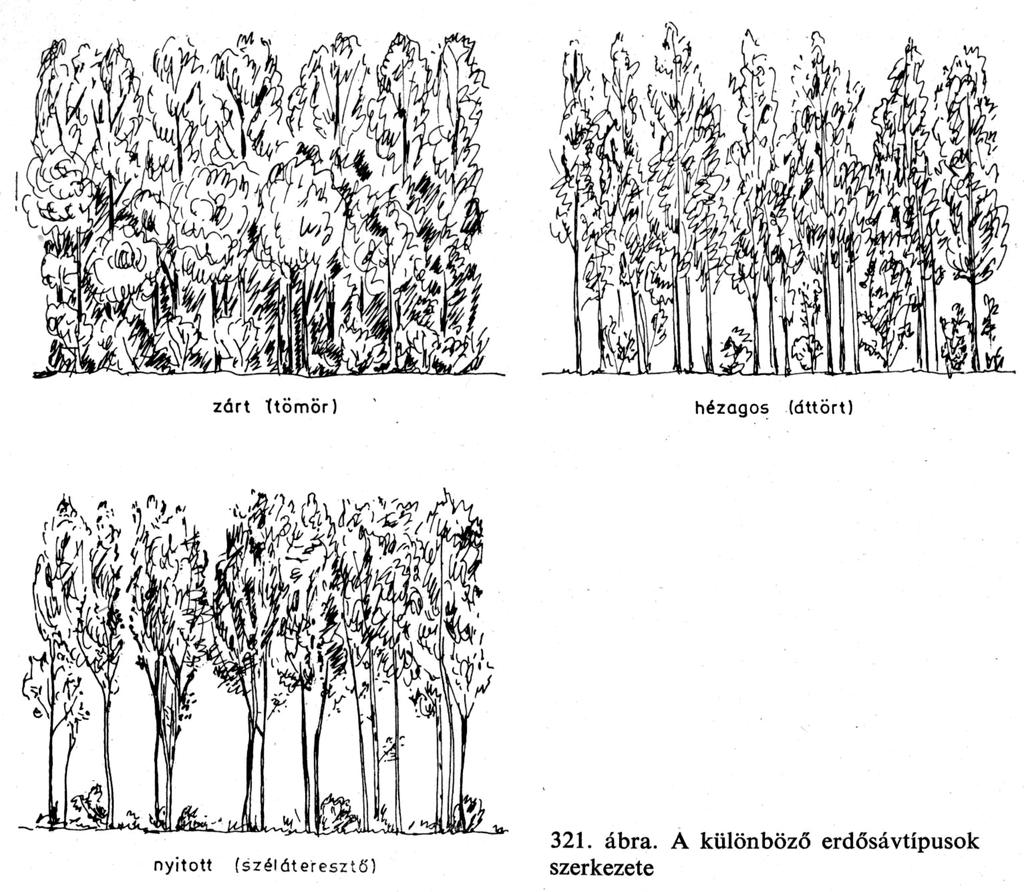 Erdősávtípusok és szélsebesség mérséklésére való alkalmasságuk Az áttört szerkezetű sávok (a nyílt- vagy zárt szerkezetűekkel ellentétben) hatékonyabbak nagy