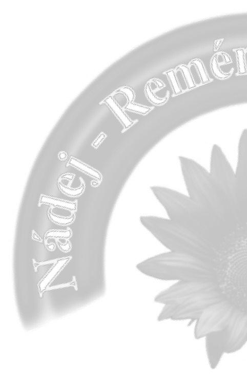 ROK 2011 - II.