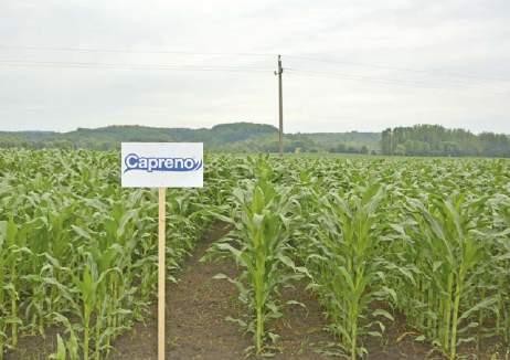02 HÍRADÓ 2016. TARTALOM / IMPRESSZUM TECHNOLÓGIA Egy új herbicid a kukoricában - Capreno 04.