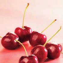 CLASSIC MÁLNA / FRAMBOISE Málna sűrítmény tészták, krémek, 