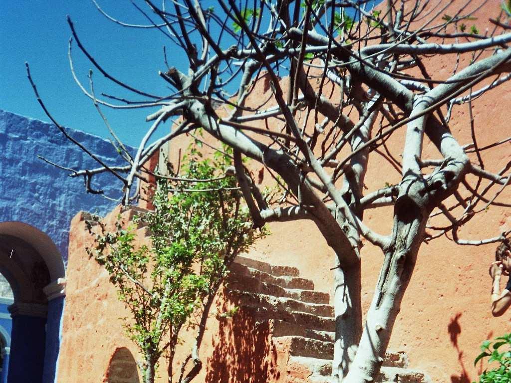Sebesség társkereső arequipa