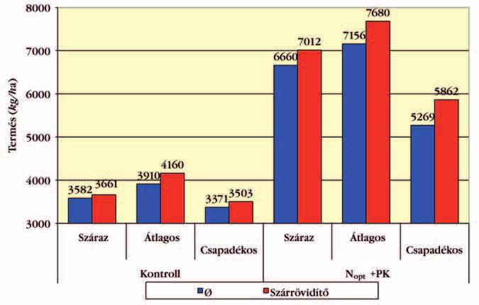Fajta 1. fajta gyomirtott 2. fajta gyomirtott 5710 5880 6869 7010 10. táblázat Gyomirtás és évjárat hatása az őszi búza termésére (Debrecen, csernozjom talaj) lete 800-900 kg/ha, ill.