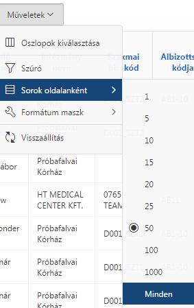 A Formátum maszknál sok lehetőség van a lista