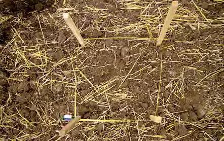 A képelemzés a talajfelületen található visszamaradt növényi részek általi talajtakarás százalékos értékét mutatja. A mérésre közvetlenül a gép áthaladását követően kerül sor.