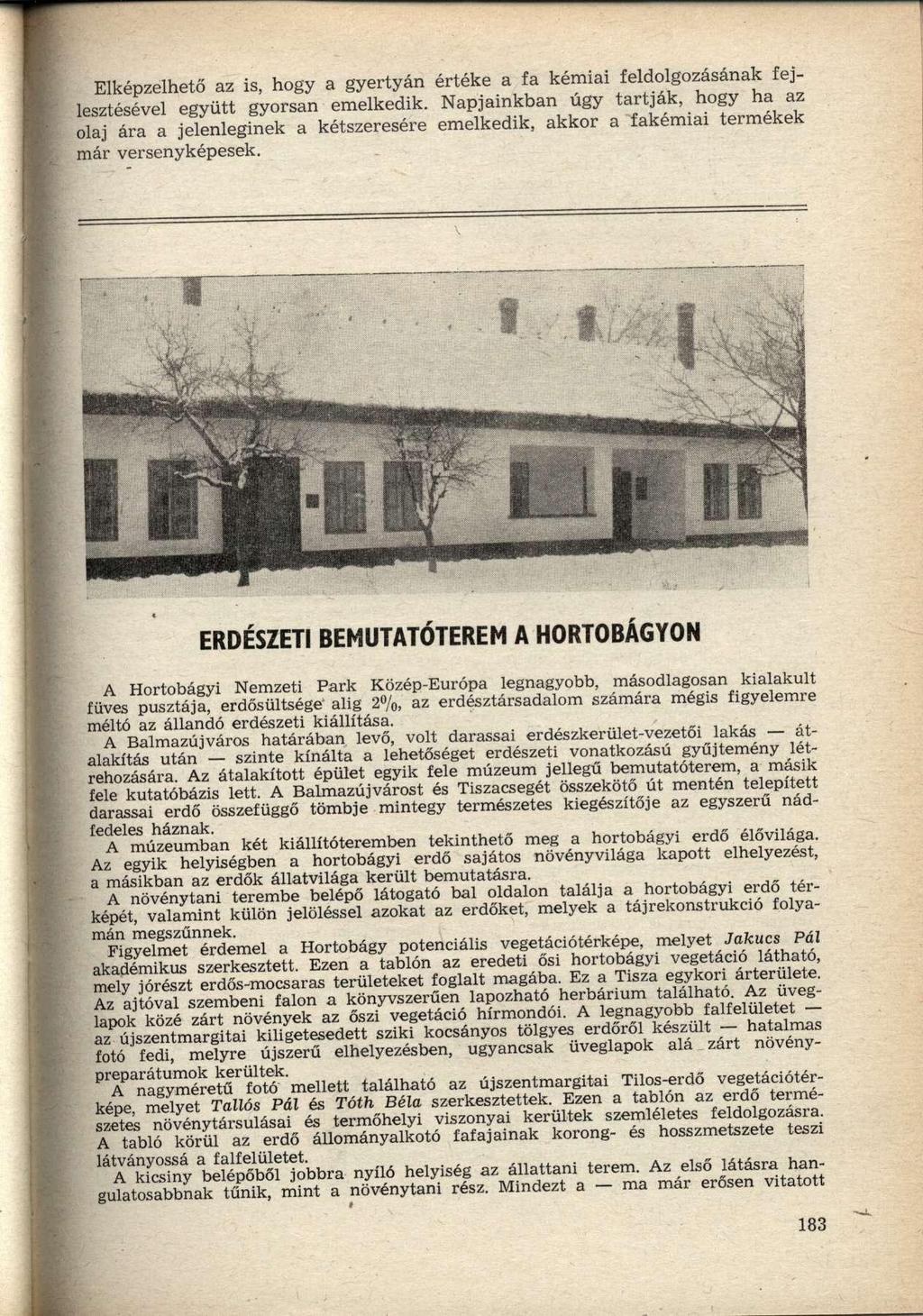 Elképzelhető az is, hogy a gyertyán lesztésével együtt gyorsan emelkedik, olaj ára a jelenleginek a kétszeresére már versenyképesek.