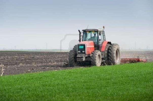 Bioszenek összehasonlítása Ha a talaj szükséglete 61,5 kg P 2 O 5 /ha Biochar Mennyiség (kg/ha)