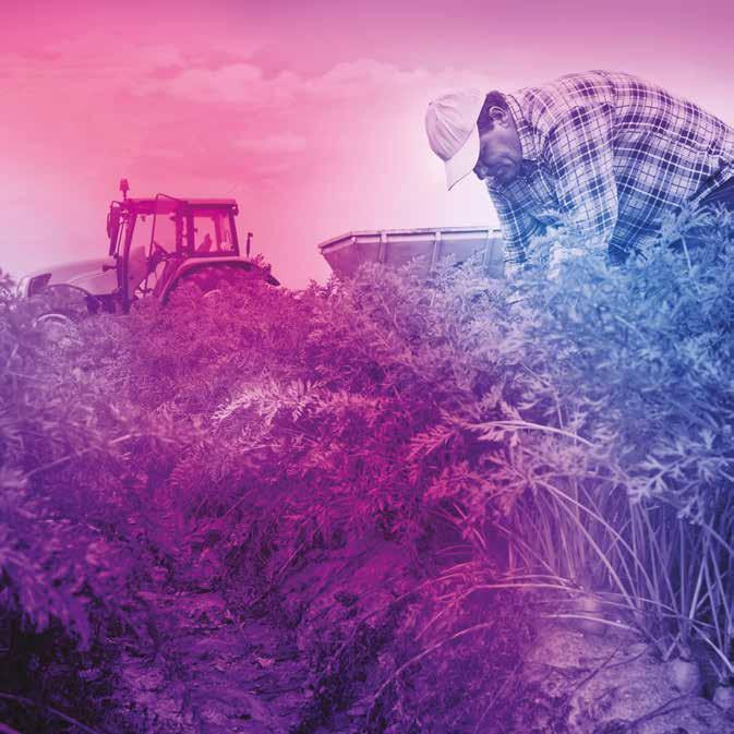 AZ ESBA INNOVÁCIÓVAL KAPCSOLATOS PROJEKTJE CRETA FARMS Helyszín: Görögország Ágazat: mezőgazdaság, innováció Az ESBA által nyújtott finanszírozás összege: 15 millió euró Gyógyír a görög