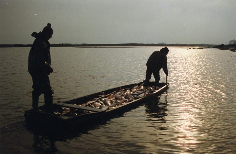átlagosan 3500-4500 fő horgászik.