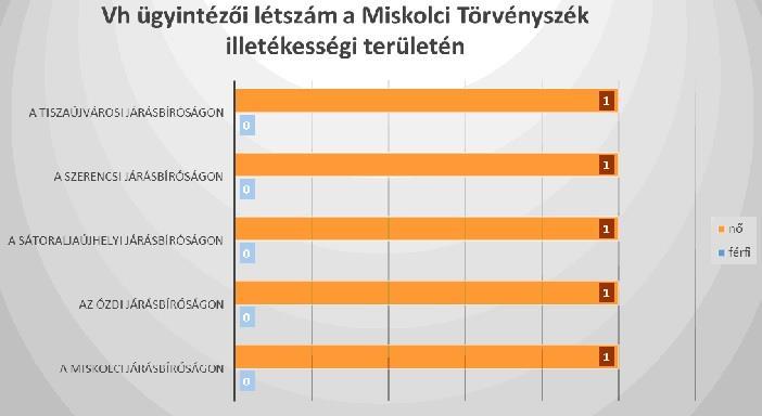 2016-ban a Miskolci Törvényszék illetékességi területén összesen 5 fő végrehajtási ügyintéző tejesített szolgálatot. 2.2.6. Az egyéb igazságügyi alkalmazottak létszámhelyzete és foglalkoztatási gyakorlata A törvényszék engedélyezett igazságügyi alkalmazotti intézményi létszáma 2016.