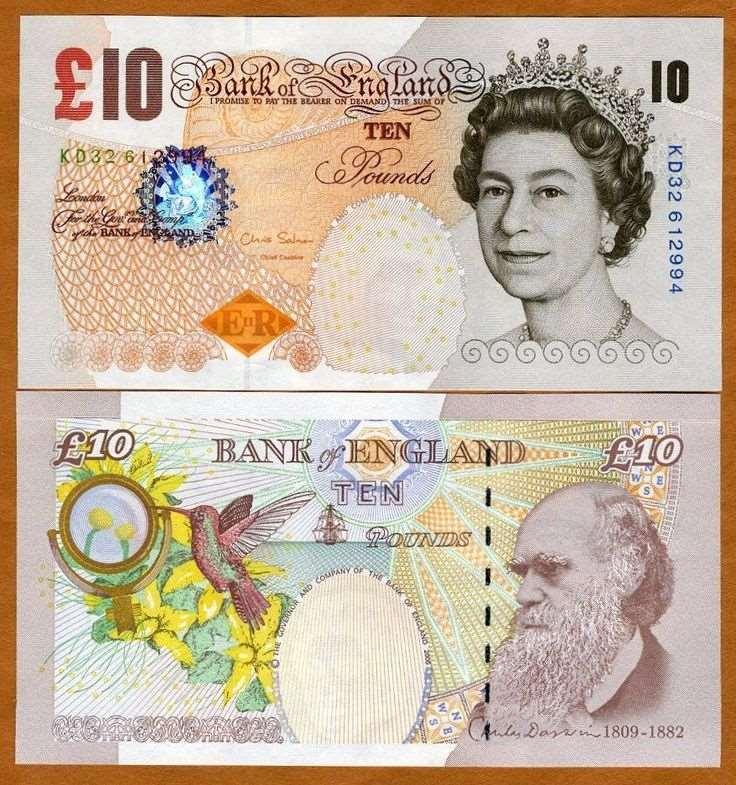 Lejárt: hátul: