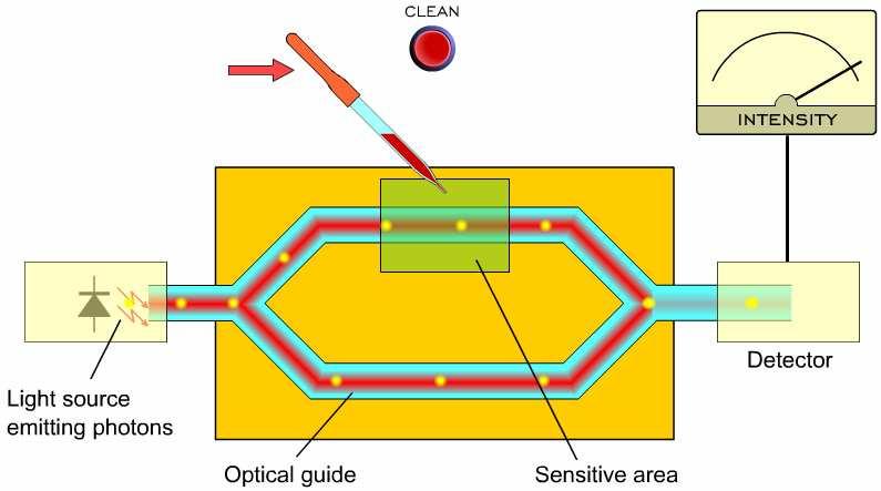 FÉNYSZÁL ALAPÚ INTERFEROMÉTER ÉRZÉKELİK Interferométer mőködési elve: a két optikai ág különbözı hatásnak van kitéve.