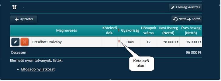 A kötelező elem a nyilatkozatból nem törölhető. További elemek az Új felvitel gombbal adhatók hozzá a nyilatkozathoz.